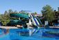 OEM Juegos al aire libre Parque paseos acuáticos Backyard tobogán para niños Juego