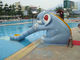 La piscina formada elefante de Mini Pool Slide Outdoor Commercial resbala modificado para requisitos particulares