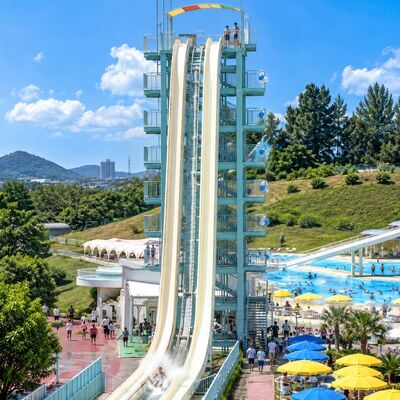 calidad Deslizamiento acuático de alta velocidad Fibra de vidrio Inclinado Drop Multi Lane Thrill Ride Para Parques acuáticos Diseño personalizado Fábrica