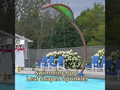 Equipo de parque acuático OEM, Cactus Spray Water Splash Pad Juguetes de piscina